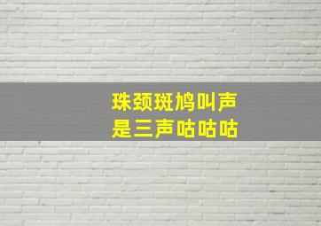 珠颈斑鸠叫声 是三声咕咕咕